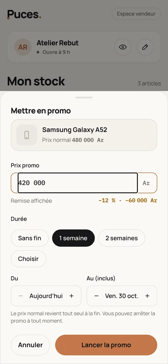 Mettre un article en promo